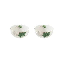 Ensemble de 2 bols Ø 12 cm EXOTIQUE
