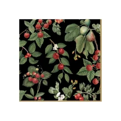 Paquet de 20 serviettes ORCHARD